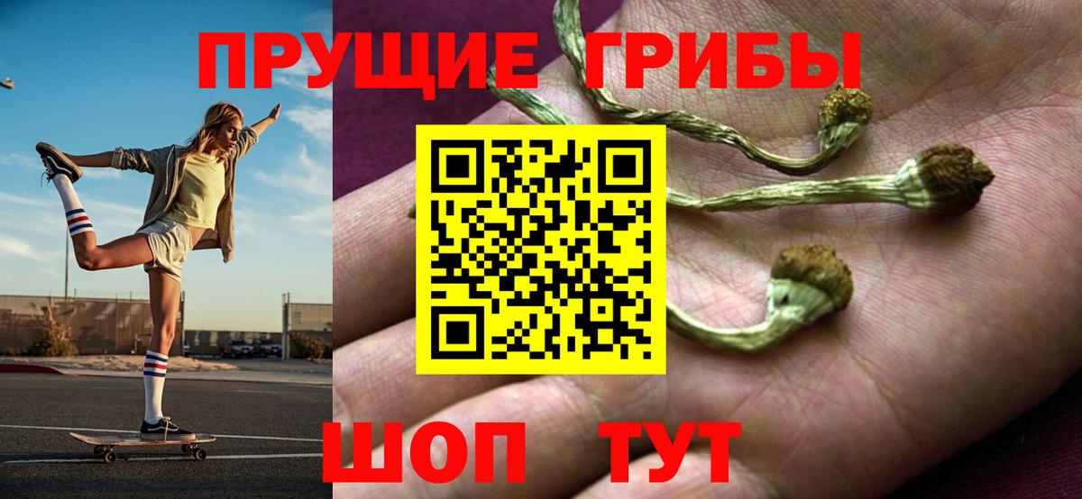 Магадан  Псилоцибиновые грибы MAGIC MUSHROOMS  Вход с VPN 